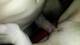 Foto privada de RedLilliexx