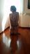 Foto privada de amante_erotica