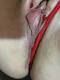 Foto privada de morena_rm43