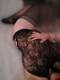Foto privada de _Elena_