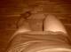 Foto privada de beatrix_k23