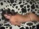 Foto privada de regina85