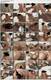 Foto privada de sexybaby12