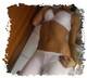 Foto privada de Culo_Tondo