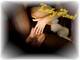 Foto privada de Lady_Anal