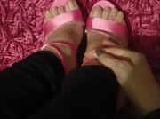 Piedini