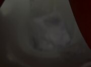 Amateur Video of Bellaquita